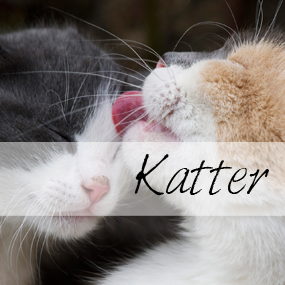 katter