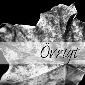 ovrigt
