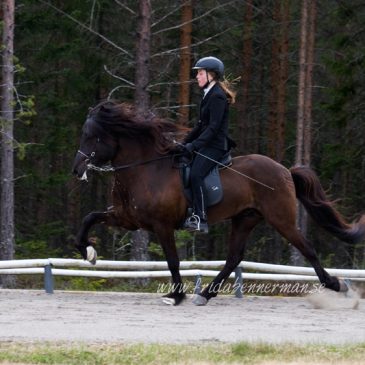 Kraftur vårtävling 2016